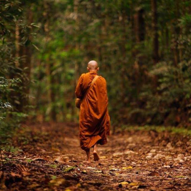El camino de Buda-Espiritualidad