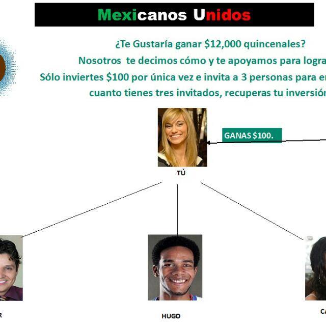 Vence la crisis. Negocio online